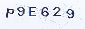 六位字母数字验证码