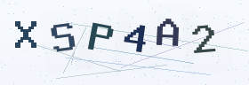 六位字母数字验证码