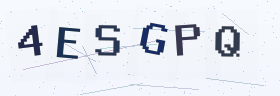 六位字母数字验证码