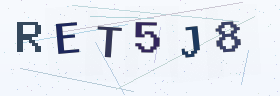 六位字母数字验证码